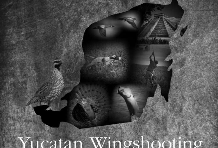 Yucatan Wingshooting